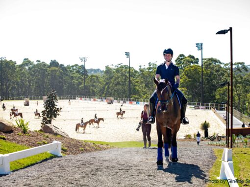 Willinga Park Show jumping arena