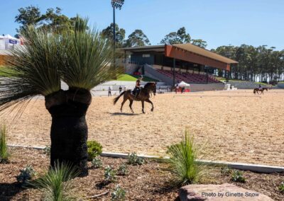 Horse being ridden at the Willinga Park show jumping arena with a view of the new grandstand and new GM Poles sports lighting tower in the background.